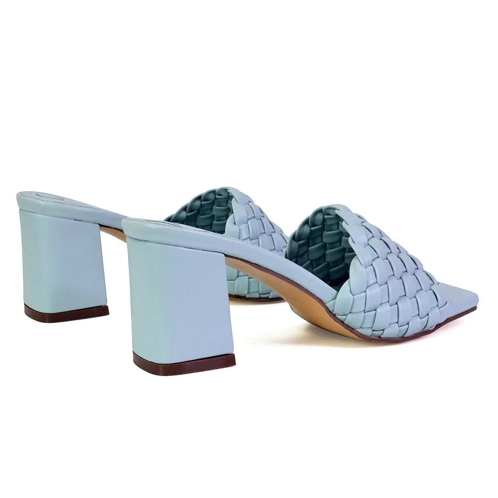 Aries Slip On Low Block Heel Sandals Square Toe Woven Mules In Blue