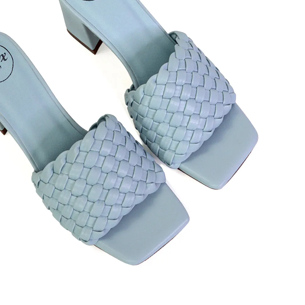 Aries Slip On Low Block Heel Sandals Square Toe Woven Mules In Blue
