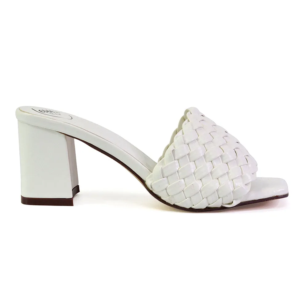 Aries Slip On Low Block Heel Sandals Square Toe Woven Mules In Blue
