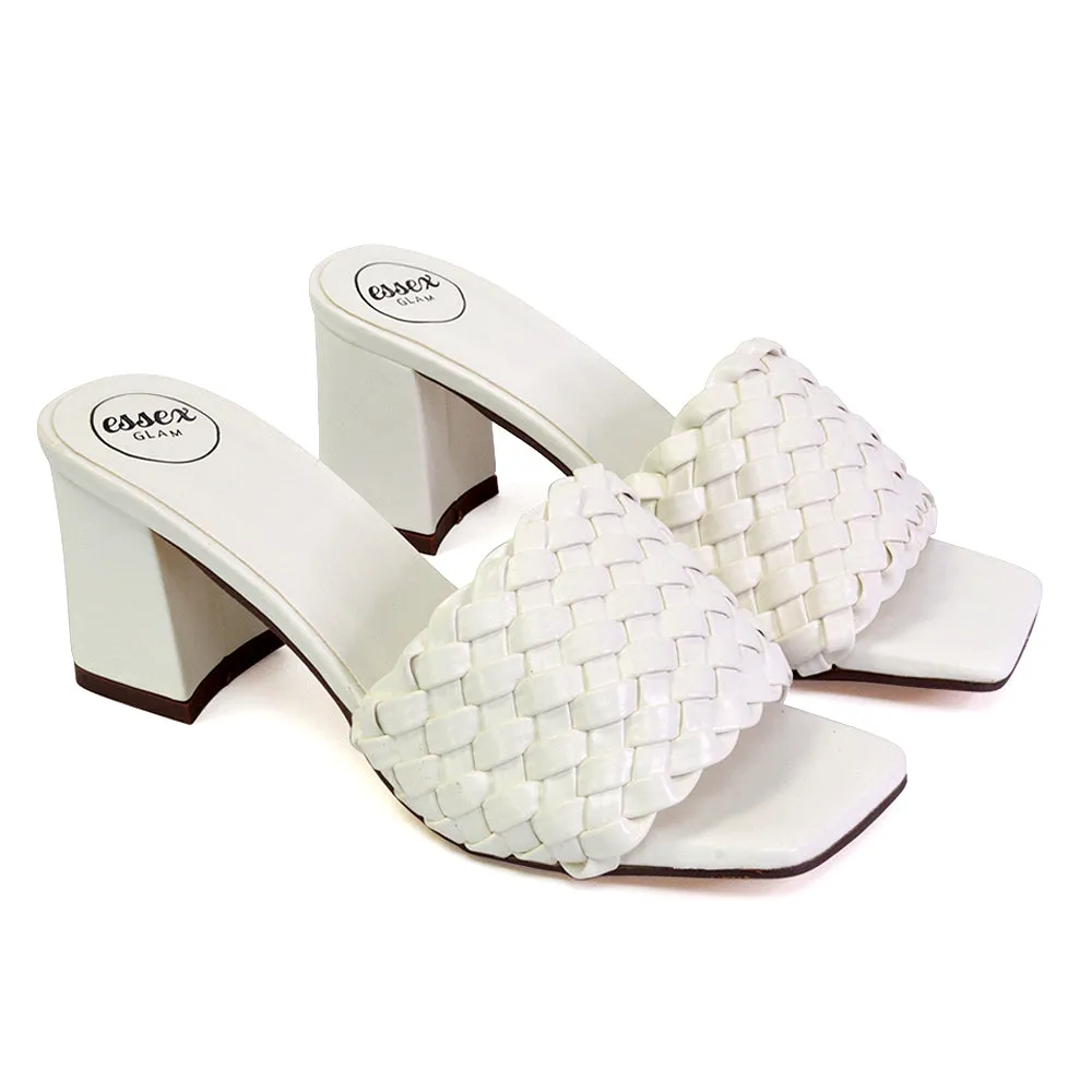Aries Slip On Low Block Heel Sandals Square Toe Woven Mules In Blue