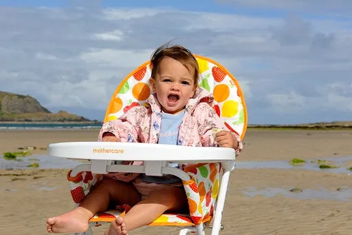 Baby High Chair