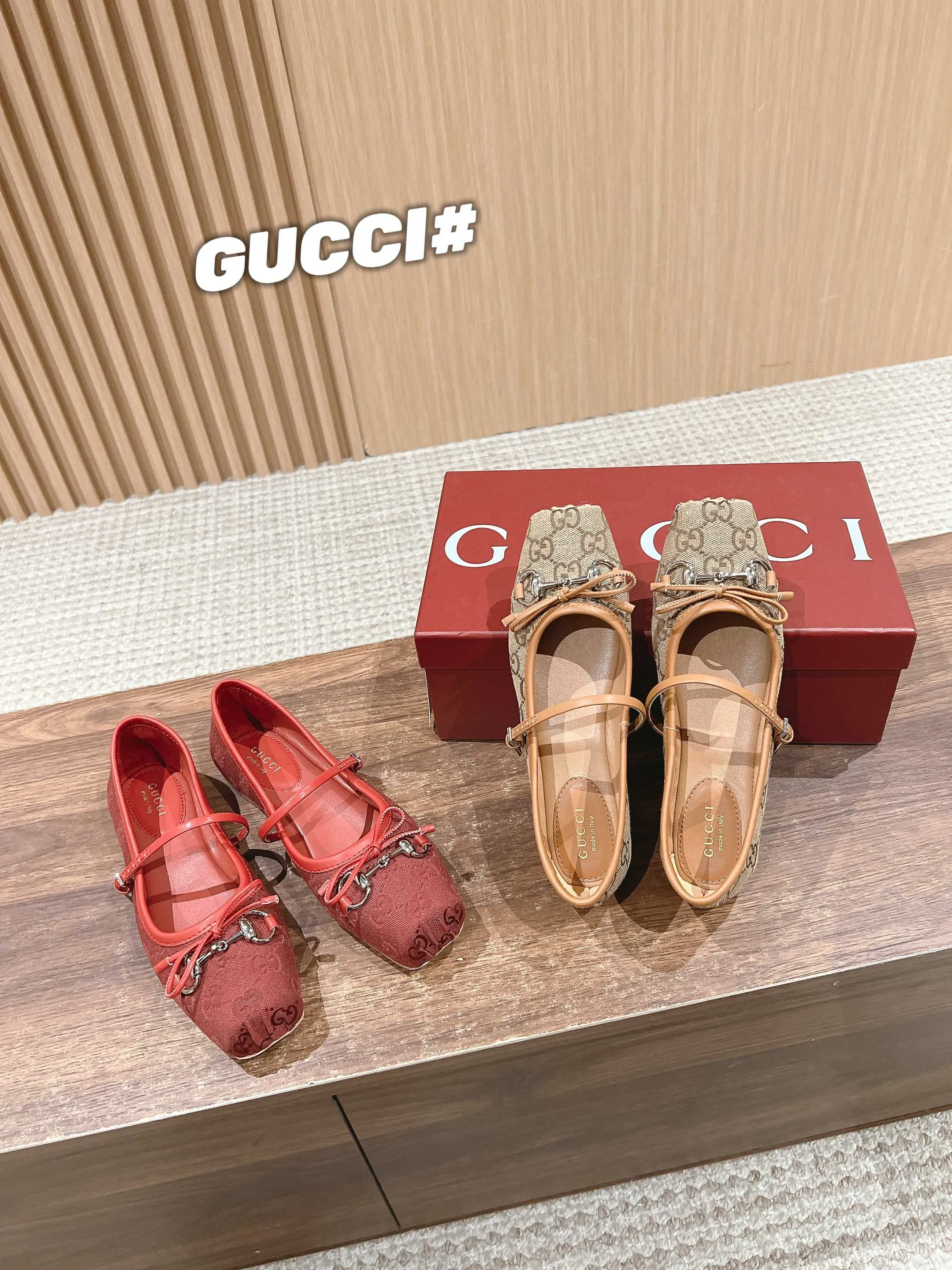 𝐆C Early Spring Resort Series Horsebit Ballet Flats