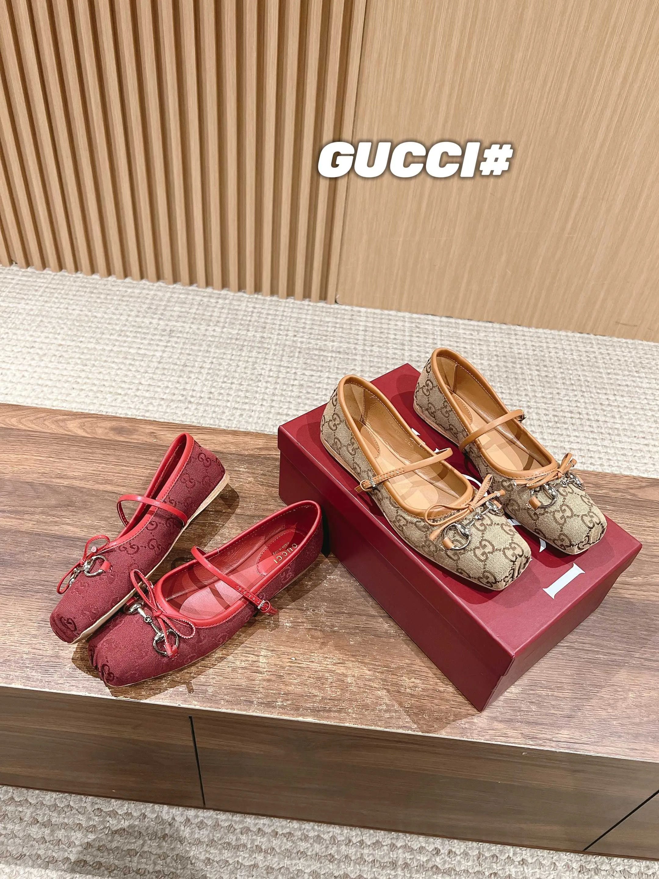 𝐆C Early Spring Resort Series Horsebit Ballet Flats