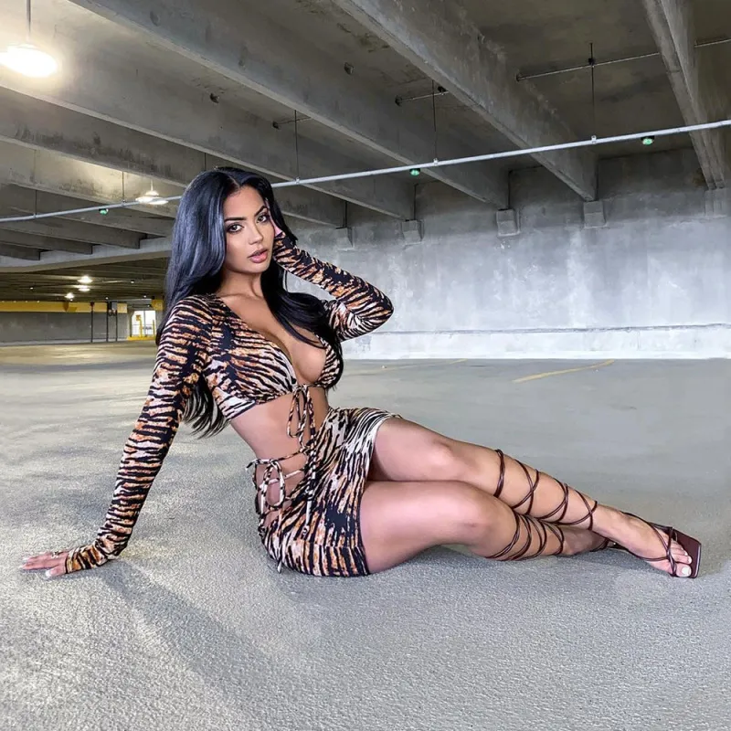 Leopard Print Tie Crop Top & Skirt Set