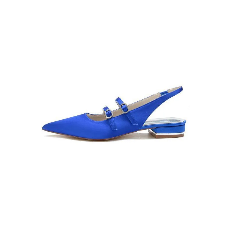 Simple Slingback Pointed Toe Flats