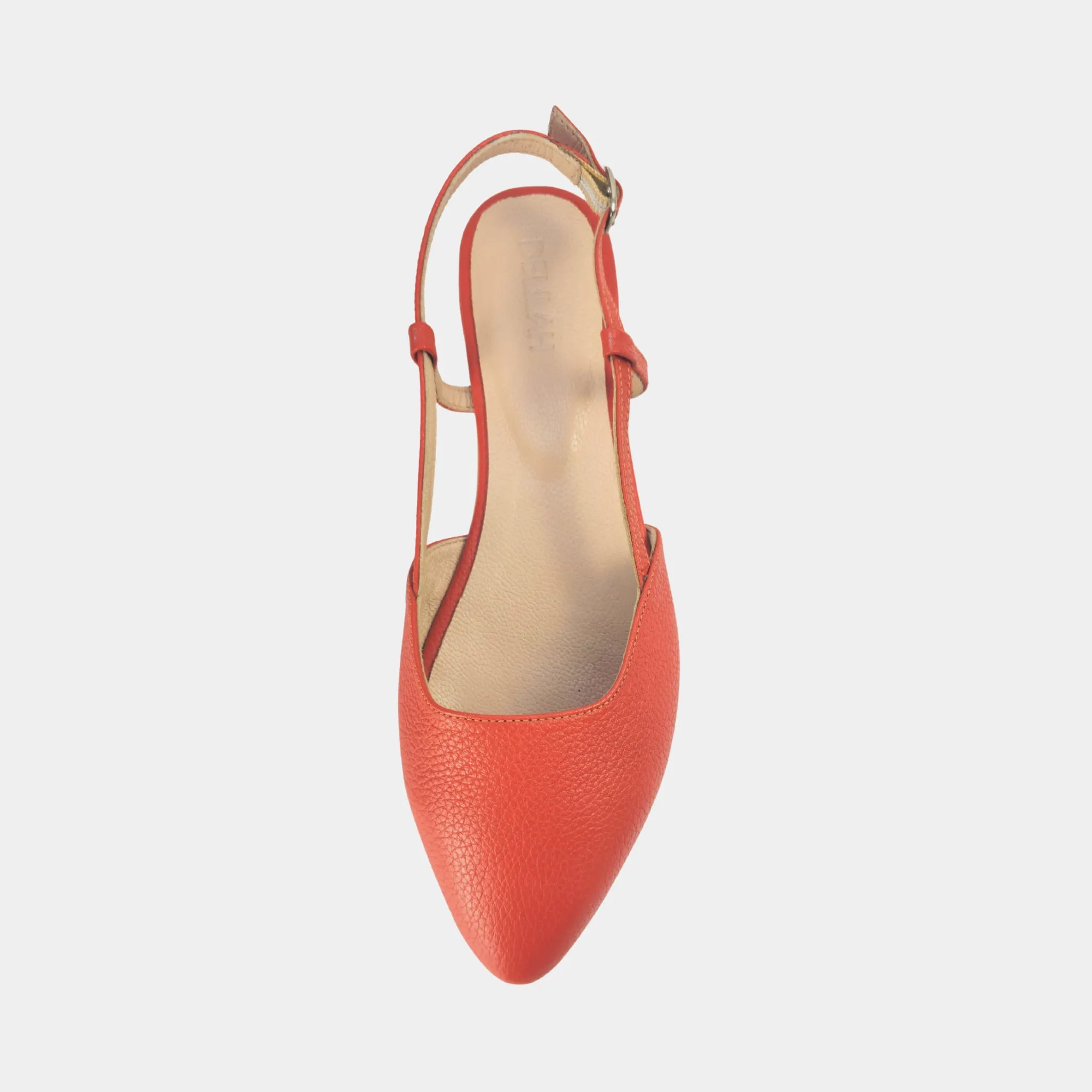 Tangerine Blossom