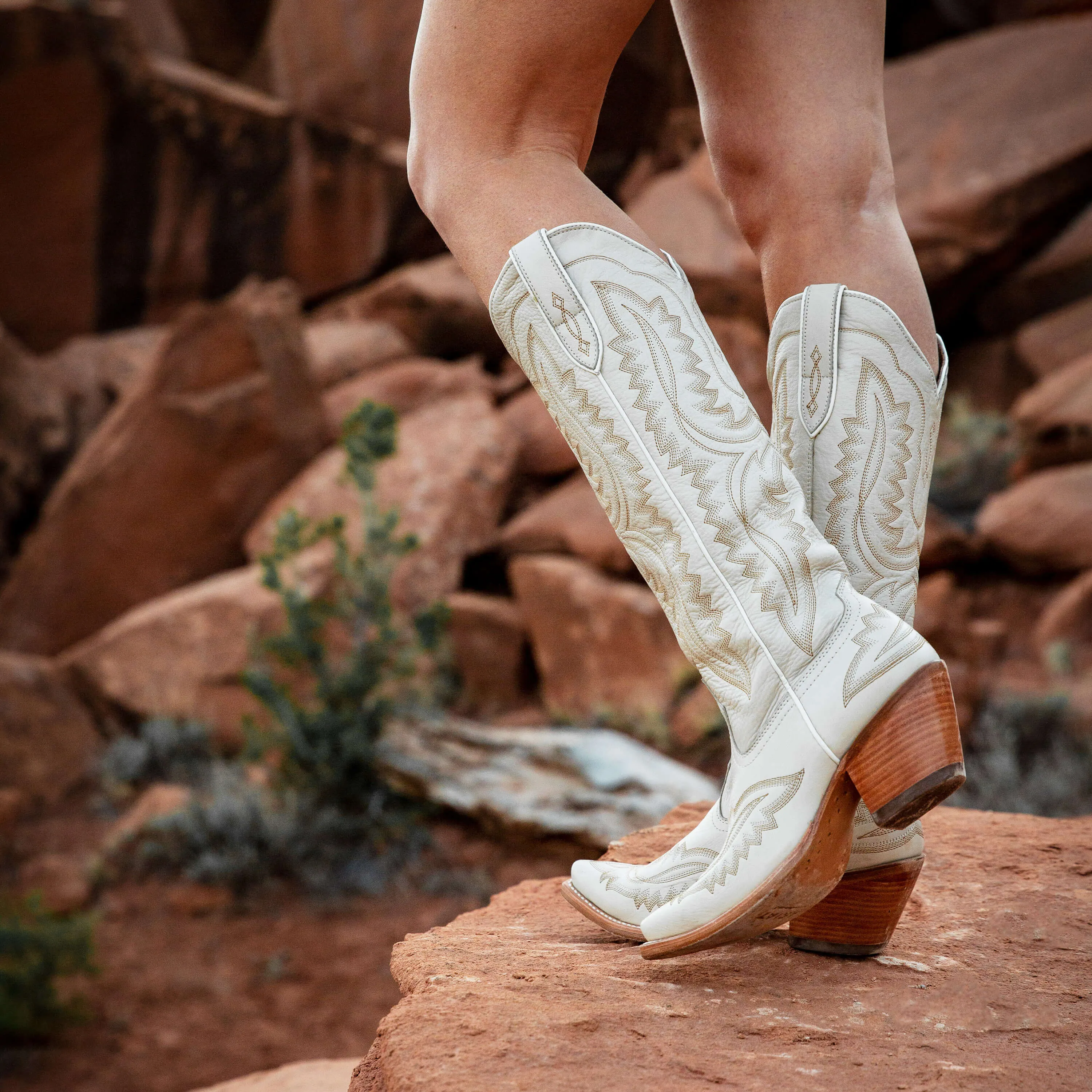 Womens Casanova western Boot ARIAT | 10043268